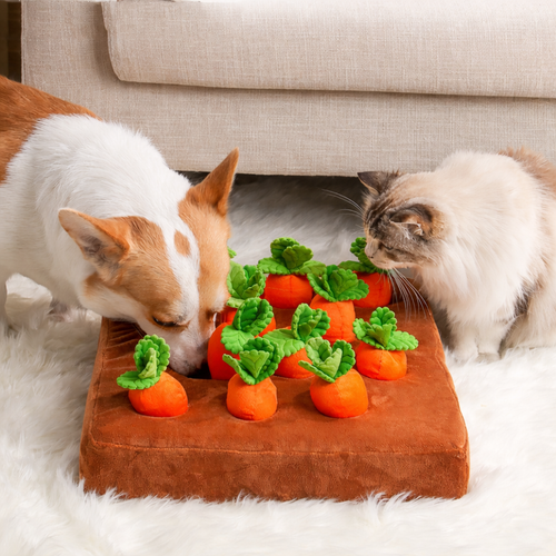 Interactive Carrot Patch Plush Toy for Pets